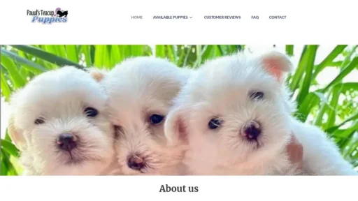 A screenshot of Raymondstinypups.us
