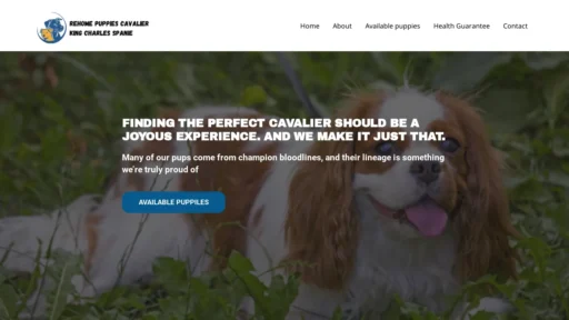 A screenshot of Rehomepuppiescavalierkingcharlesspaniel.com