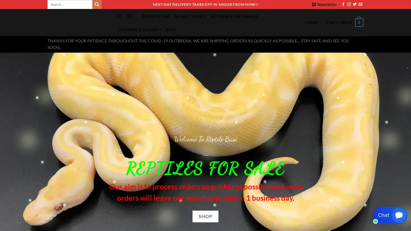 is REPTILE FOR SALE - legit? screenshot