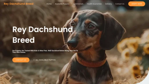 A screenshot of Reydachshundbreed.com