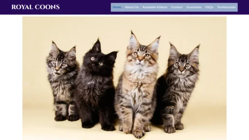 A screenshot of Rmainecoonskittens.com