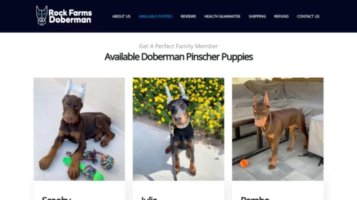 A screenshot of Rockfarmsdoberman.com