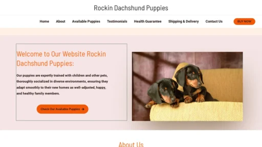 A screenshot of Rockindachshundpuppies.com