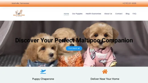 A screenshot of Rollymaltipoo.com