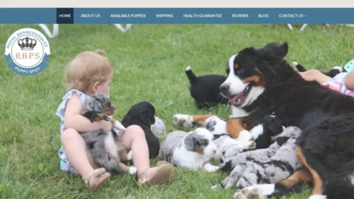 A screenshot of Royalbernedoodle.com