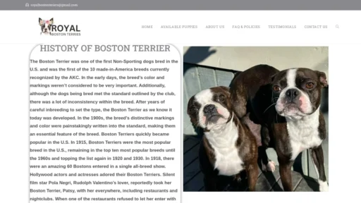A screenshot of Royalbostonterries.com