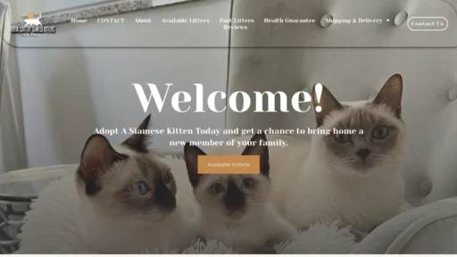 A screenshot of Royalcatterysiamesekittensforsale.com