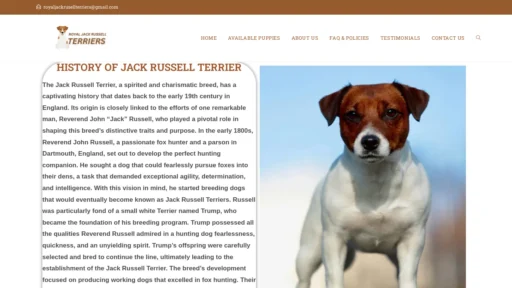 A screenshot of Royaljackrussellterriers.com