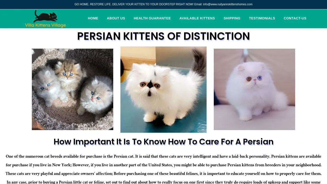 is Persian kittens for sale – Are Persian cats indoor cats legit? screenshot