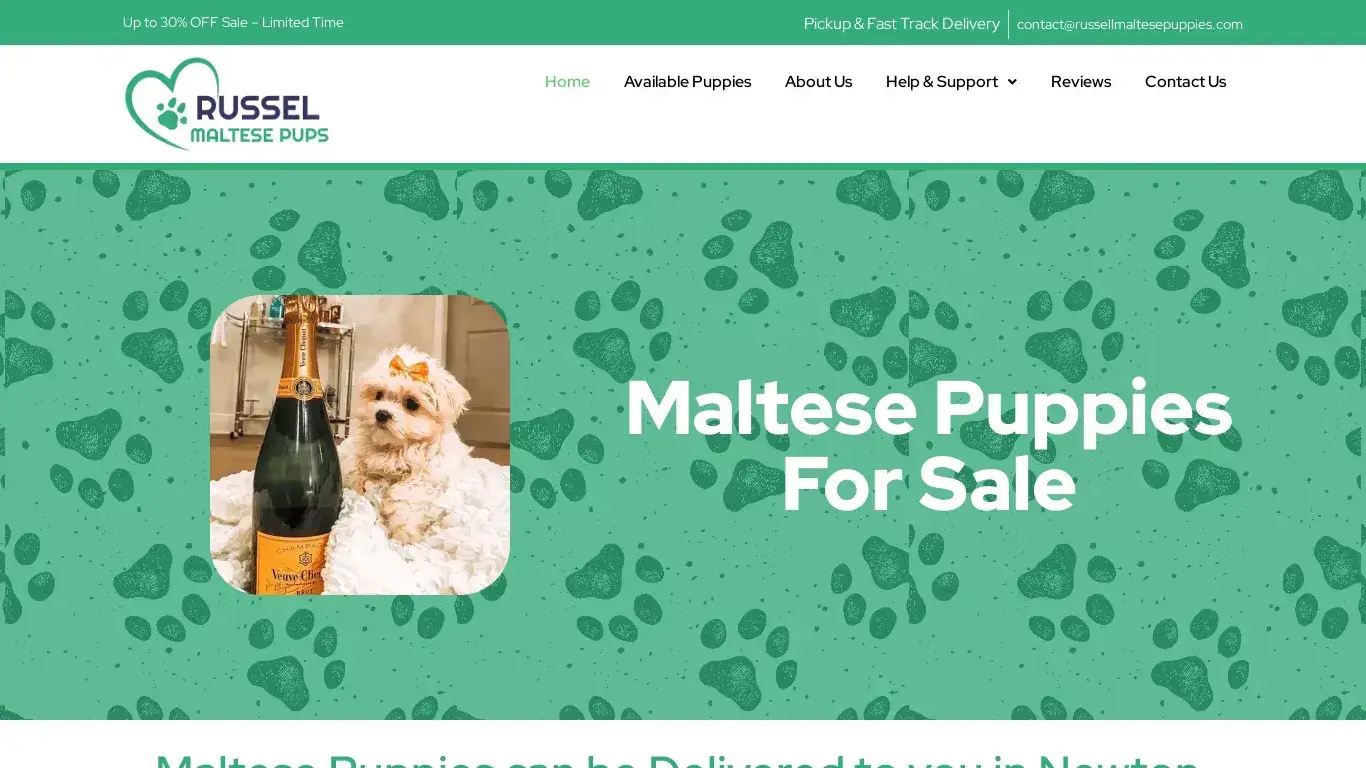 A screenshot of Russellmaltesepuppies.com