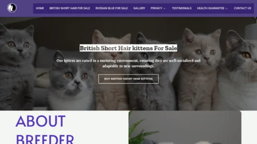A screenshot of Russianblueandbritishshorthairkittensforsale.com