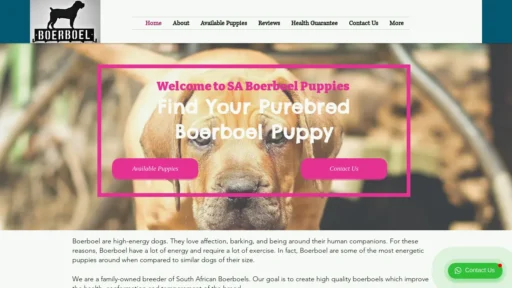 A screenshot of Saboerboelpuppies.co.za