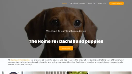 A screenshot of Samlouchiminidoxies.com