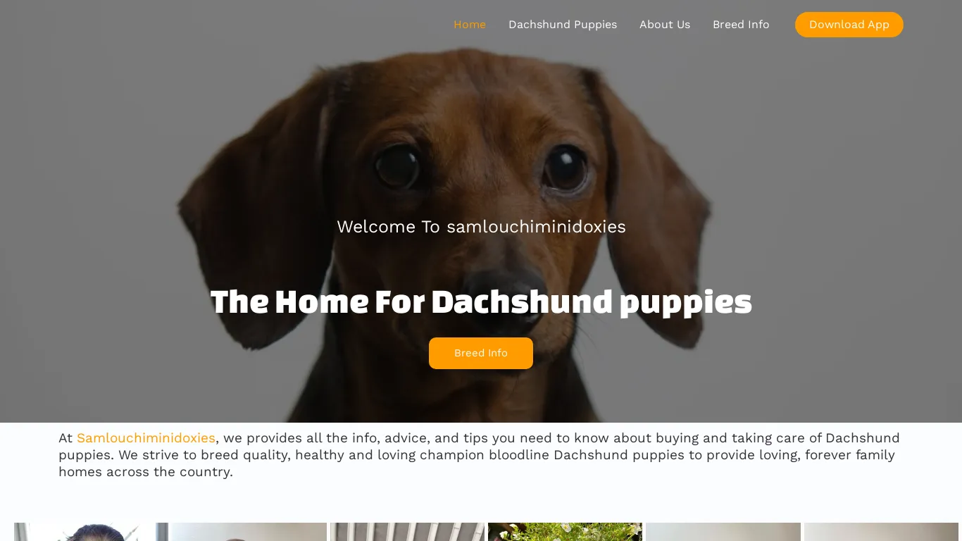 is samlouchi – My WordPress Blog legit? screenshot