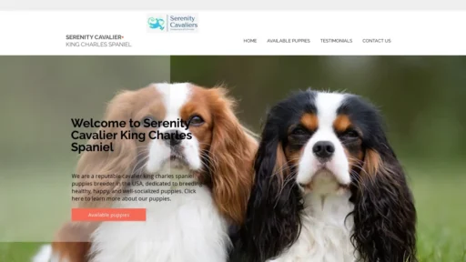 A screenshot of Scavaliers.com