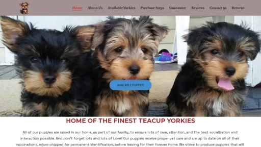 A screenshot of Shaneyorkieshome.com