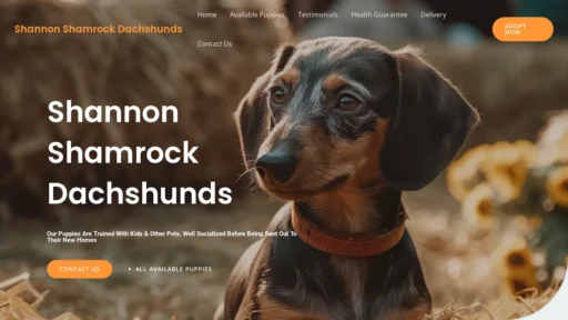 A screenshot of Shannonshamrockdachshunds.com
