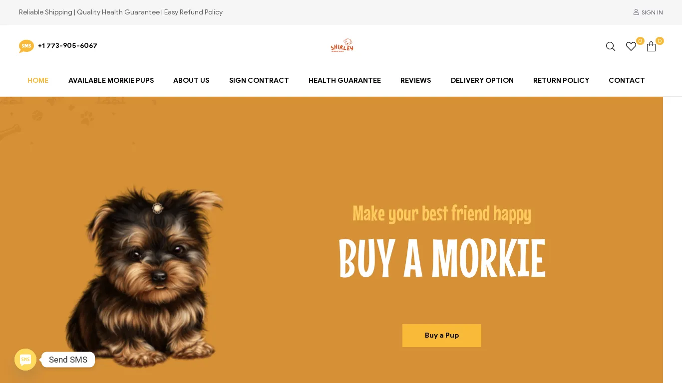 is Shirley Morkie – Buy Pups Online legit? screenshot