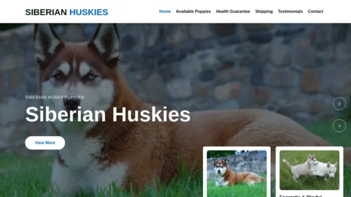 A screenshot of Siberianhuskiespuppieshome.com