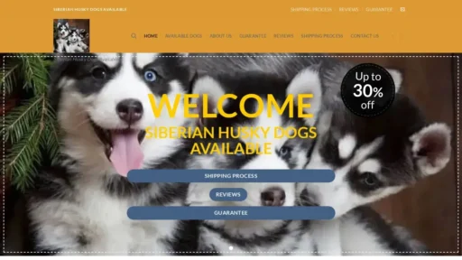A screenshot of Siberianhuskydogsavailable.com