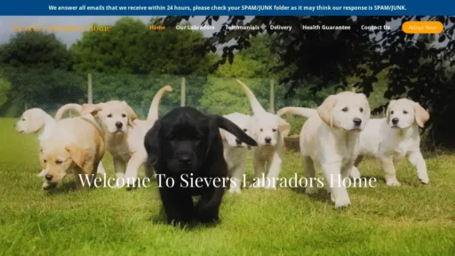 A screenshot of Sieverslabradorshome.com