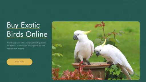 A screenshot of Simonbirds.com