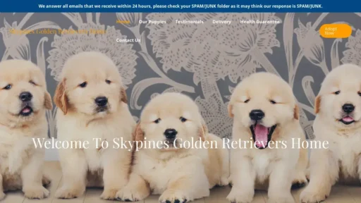 A screenshot of Skypinesgoldenretrievershome.com