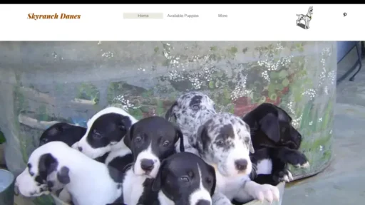 A screenshot of Skyranchgreatdanes.com