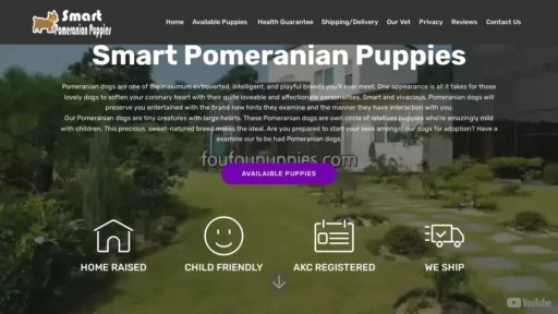 A screenshot of Smartpomeranianpuppies.com