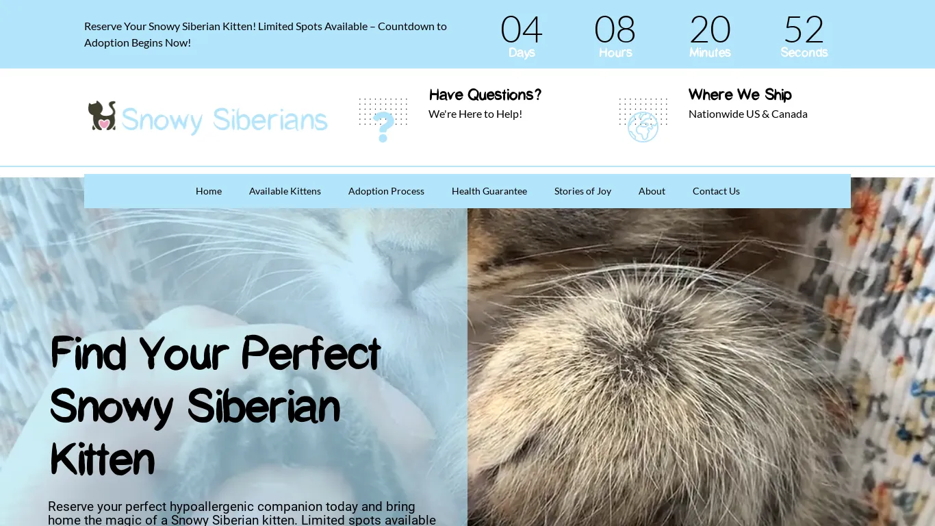is Snowy Siberians - Hypoallergenic Siberian Kittens for Adoption legit? screenshot