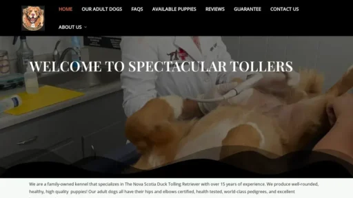 A screenshot of Spectaculartollers.com
