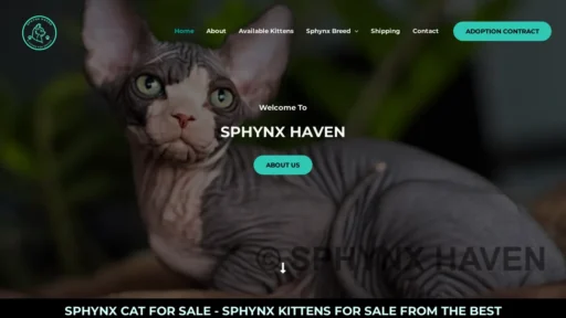 A screenshot of Sphynxhaven.com