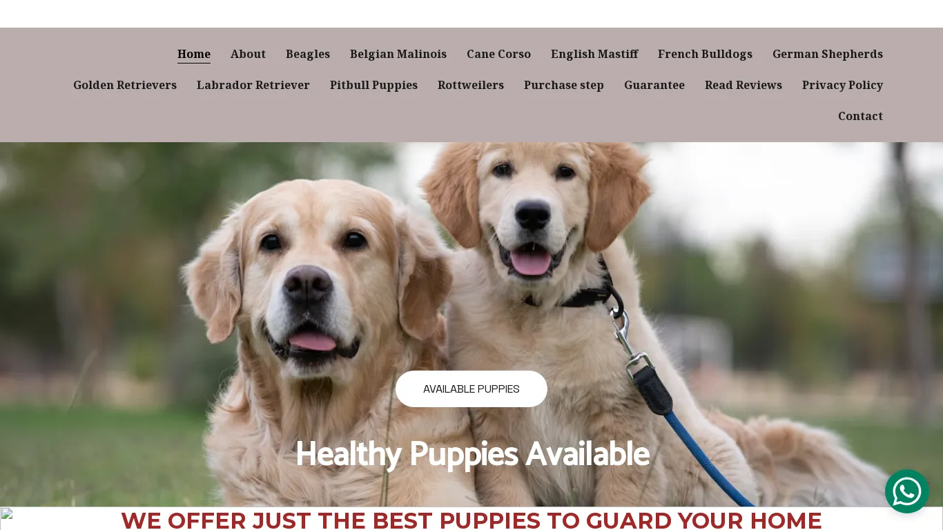is Healthy Puppies for Sale | Guard Dogs for Sale | French Bulldogs for sale legit? screenshot