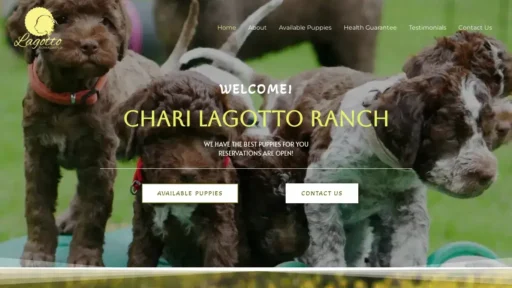 A screenshot of Springlackhomes.com