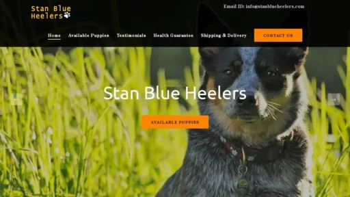 A screenshot of Stanblueheelers.com