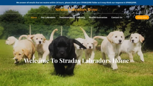 A screenshot of Stradaslabradorshome.com