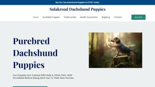 A screenshot of Sulakroaddachshundpuppies.com