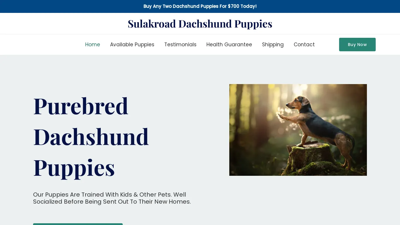 is Sulakroad Dachshund Puppies – Purebred Dachshund Puppies For Sale legit? screenshot