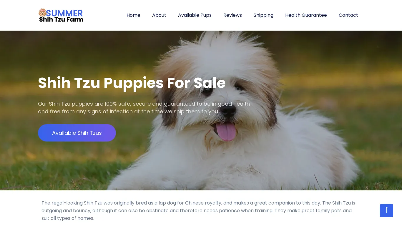 is Home | Summer Shih Tzu Farm legit? screenshot