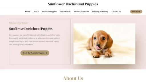 A screenshot of Sunflowerdachshundpuppies.com