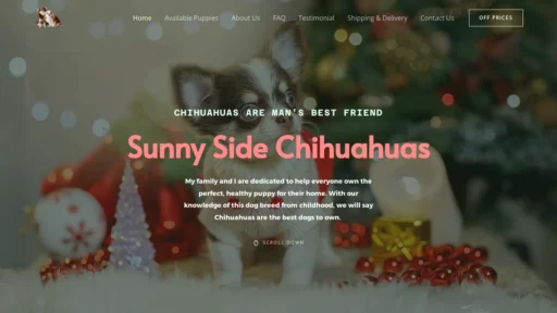 A screenshot of Sunnysidechihuahuas.com