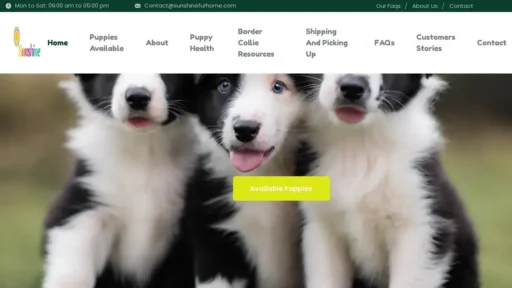 A screenshot of Sunshinefurhome.com