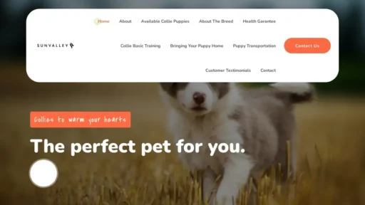 A screenshot of Sunvalleycollies.com