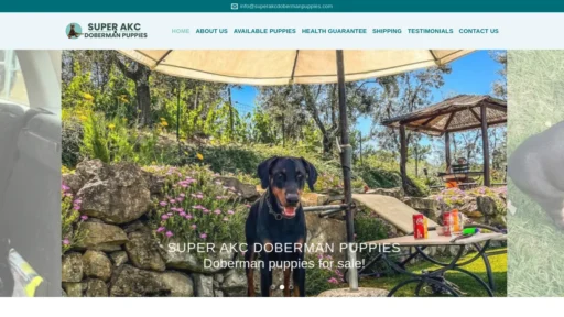 A screenshot of Superakcdobermanpuppies.com