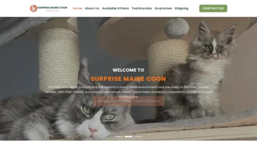 A screenshot of Surprisemainecoon.com