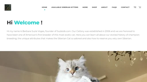 A screenshot of Suziesib.com