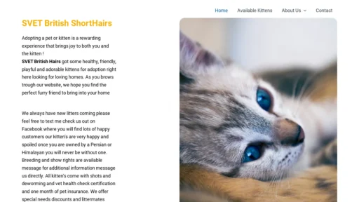 A screenshot of Svetbritishshorthairs.com