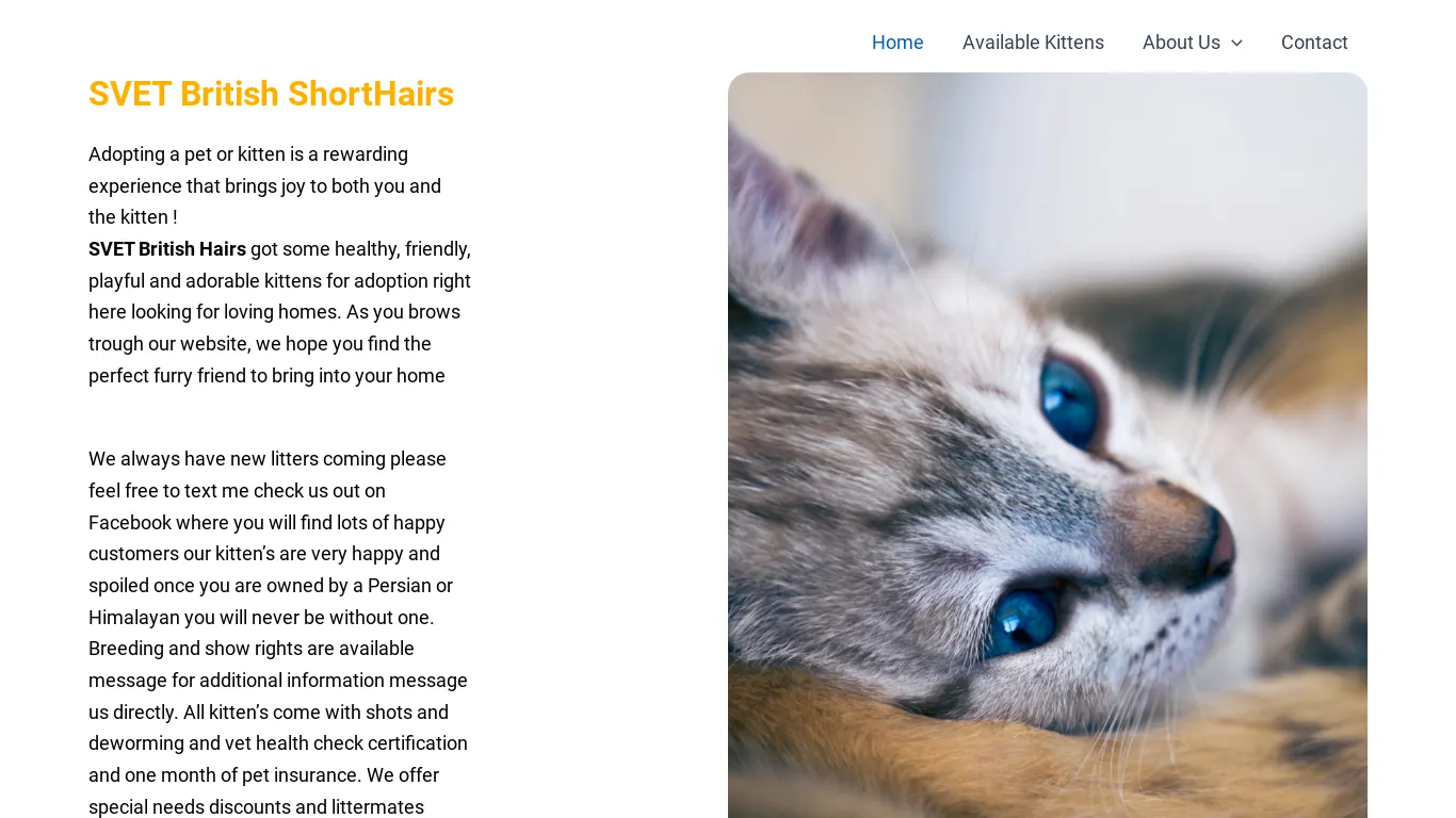 is svetbritishshorthairs.com legit? screenshot