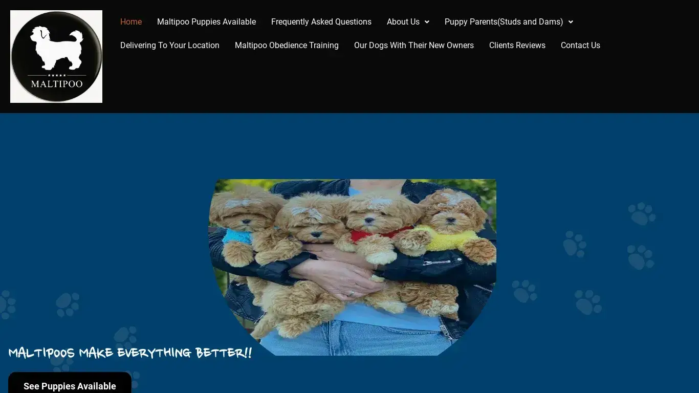 is Sweet Puppy Smilles – Maltipoo Puppies For Sale legit? screenshot