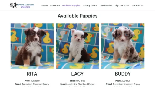 A screenshot of Tamardaustralianshepherd.com